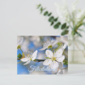 Carte Postale Salutations blanches de printemps (Debout devant)