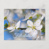 Carte Postale Salutations blanches de printemps (Devant)