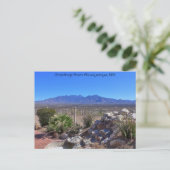 Carte Postale Salutations d'Albuquerque, Nouveau-Mexique (Debout devant)