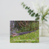Carte Postale Salutations d'alligator de Floride Personnaliser (Debout devant)
