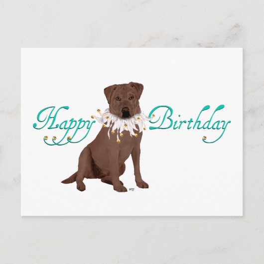 Carte Postale Salutations d'anniversaire de Labrador Retriever (Devant)