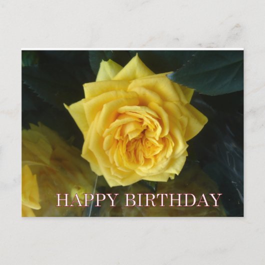 Carte Postale Salutations d'anniversaire de rose jaune (Devant)