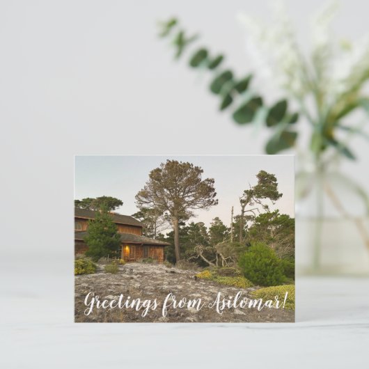Carte Postale Salutations d'Asilimar ! (Debout devant)
