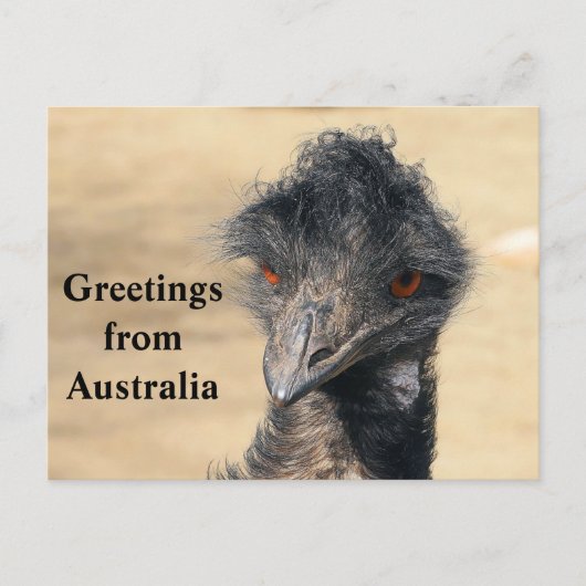 Carte Postale Salutations d'Australie (Devant)