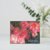 Carte Postale Salutations d'Australie (Debout devant)