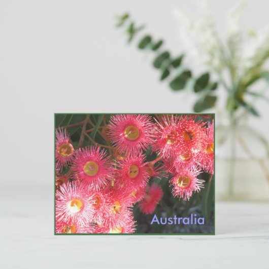 Carte Postale Salutations d'Australie (Debout devant)