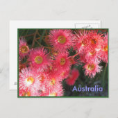 Carte Postale Salutations d'Australie (Devant / Derrière)