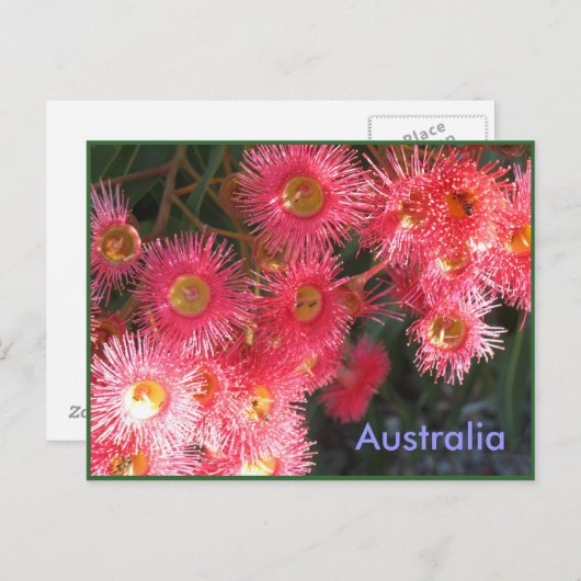 Carte Postale Salutations d'Australie (Devant / Derrière)