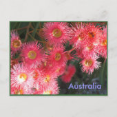 Carte Postale Salutations d'Australie (Devant)