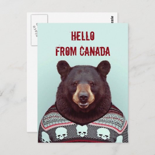 Carte Postale Salutations, de Bear (Devant / Derrière)
