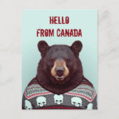 Carte Postale Salutations, de Bear (Devant)