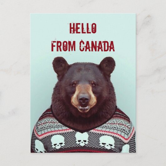 Carte Postale Salutations, de Bear (Devant)