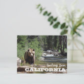 Carte Postale Salutations de California Grizzly Bear (Debout devant)