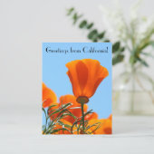 Carte Postale Salutations de Californie ! (Debout devant)