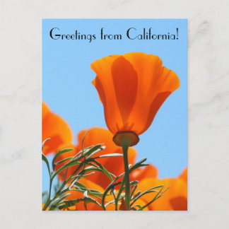 Carte Postale Salutations de Californie !