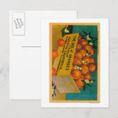 Carte Postale Salutations de Californie, Box of OrangesState (Devant / Derrière)