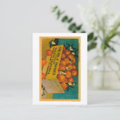 Carte Postale Salutations de Californie, Box of OrangesState (Debout devant)