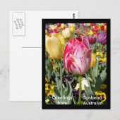 Carte Postale Salutations de Canberra Australie (Devant / Derrière)