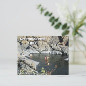 Carte Postale Salutations de Chico (vous pouvez changer les mots (Debout devant)