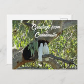 Carte Postale Salutations de Cunnamulla (Devant / Derrière)