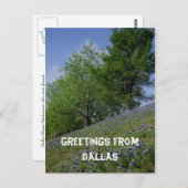 Carte Postale Salutations de Dallas Postcard (Devant / Derrière)