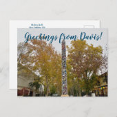 Carte Postale Salutations de Davis ! (Devant / Derrière)