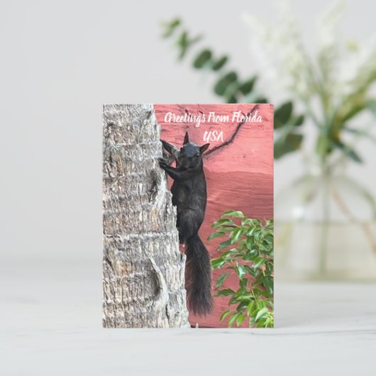 Carte Postale Salutations De ... Écureuil noir (Debout devant)