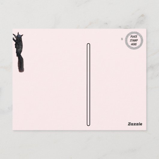 Carte Postale Salutations De ... Écureuil noir (Dos)