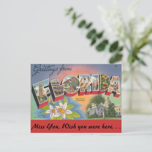 Carte Postale Salutations de FLORIDA (Debout devant)