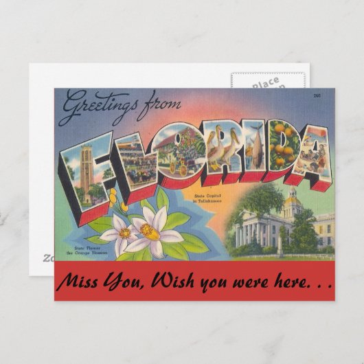Carte Postale Salutations de FLORIDA (Devant / Derrière)