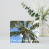 Carte Postale Salutations de FLorida / cocotier palmier (Debout devant)