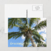 Carte Postale Salutations de FLorida / cocotier palmier (Devant / Derrière)