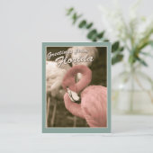 Carte Postale Salutations de Floride (Debout devant)