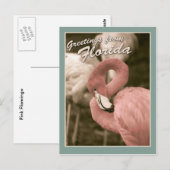 Carte Postale Salutations de Floride (Devant / Derrière)