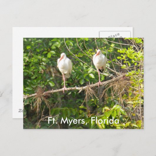 Carte Postale Salutations de Floride ! (Devant / Derrière)