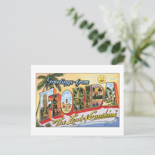 Carte Postale Salutations de Floride (Debout devant)