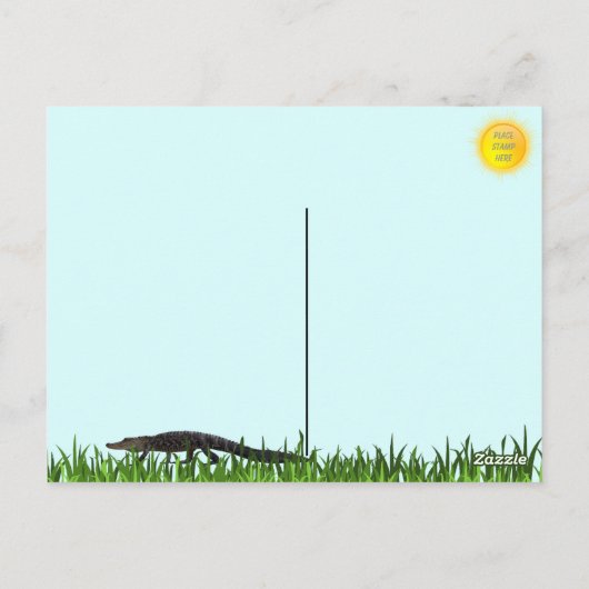 Carte Postale Salutations De Floride Alligator (Dos)