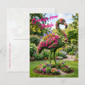 Carte Postale Salutations de Floride Flamingo Topiaire Tropical (Devant / Derrière)