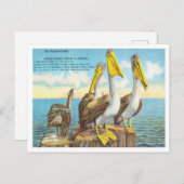 Carte Postale Salutations de Floride, Le Pélican Family Travel (Devant / Derrière)