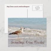 Carte Postale Salutations de Floride Miami mouette (Devant / Derrière)