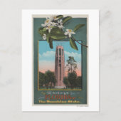 Carte Postale Salutations de Floride & Photo du chant (Devant)