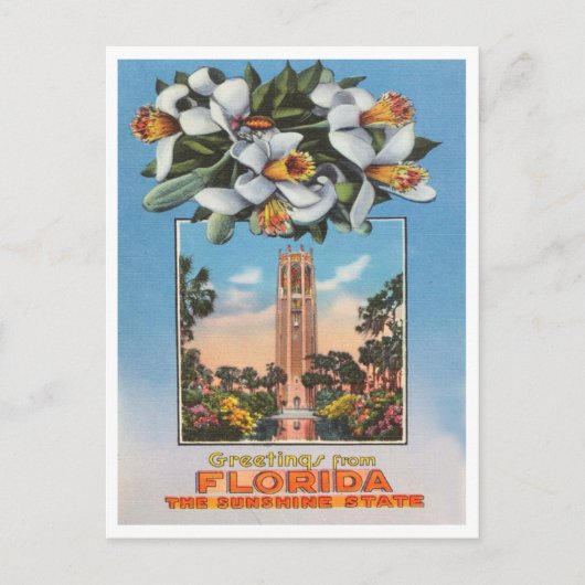 Carte Postale Salutations de Floride, Sunshine State Travel (Devant)