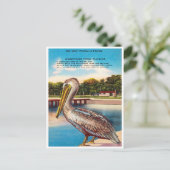 Carte Postale Salutations de Floride, Vieux Bill Pelican Floride (Debout devant)