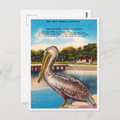 Carte Postale Salutations de Floride, Vieux Bill Pelican Floride (Devant / Derrière)