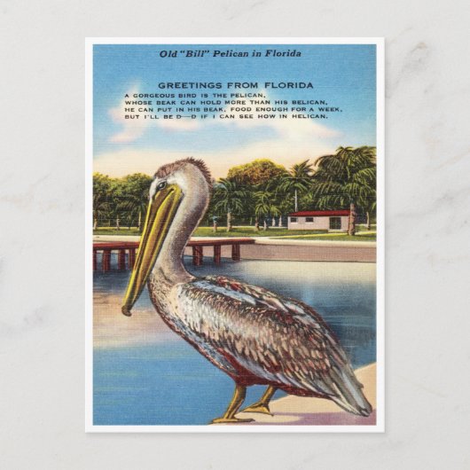 Carte Postale Salutations de Floride, Vieux Bill Pelican Floride (Devant)