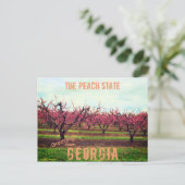 Carte Postale Salutations De Georgia Peach Orchard (Debout devant)
