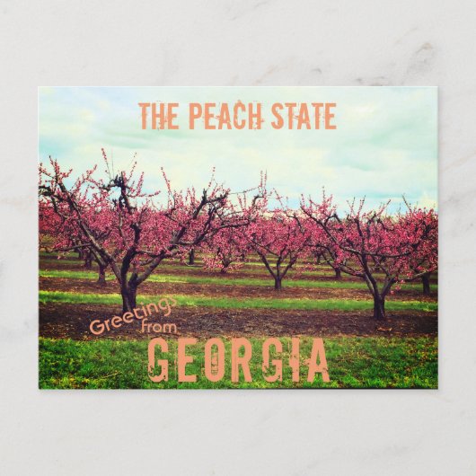 Carte Postale Salutations De Georgia Peach Orchard (Devant)