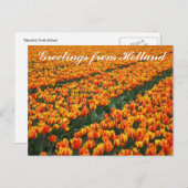 Carte postale "Salutations de Hollande" (Devant / Derrière)