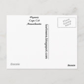 Carte Postale Salutations de Hyannis (Dos)