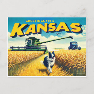 Carte Postale Salutations de Kansas Blé Combine Frontière Collie